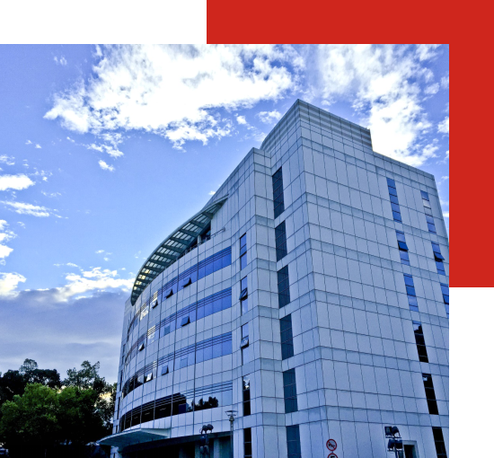 关于世界杯官网
